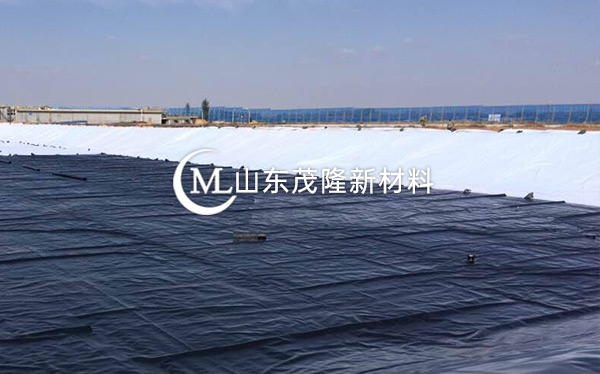 《衡水主城區(qū)生態(tài)修復工程》土工布、復合土工布施工