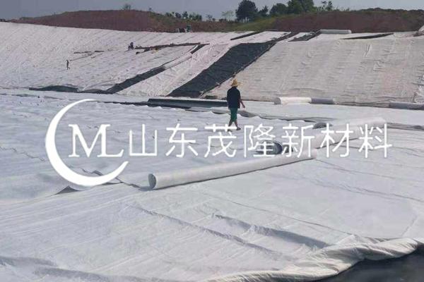 《山東濱州垃圾填埋場項(xiàng)目》土工布施工